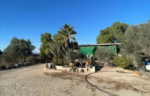 Casa de campo - Venta - Elche - La Marina