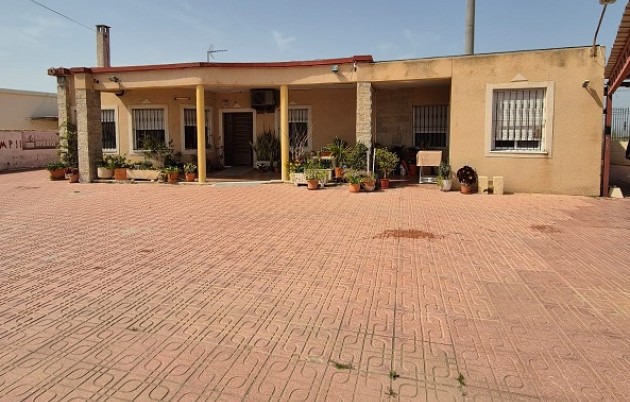 Chalet independiente - Venta - Elche - 6019