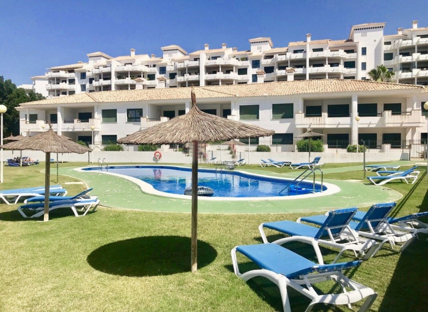 New Build - Apartment - Orihuela - Orihuela Costa