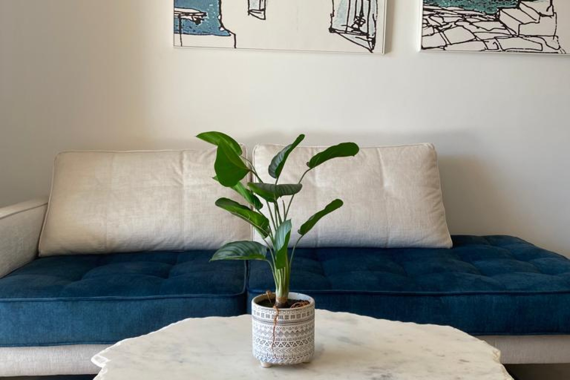 New Build - Apartment - Orihuela - Orihuela Costa