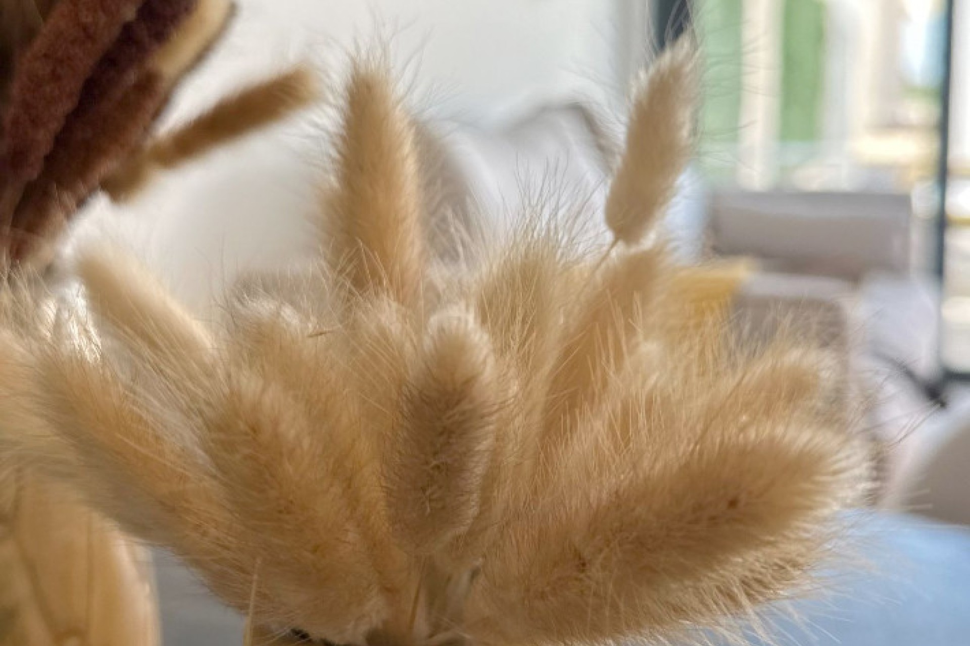 New Build - Apartment - San Fulgencio - La Marina