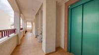 New Build - Apartment - San Fulgencio