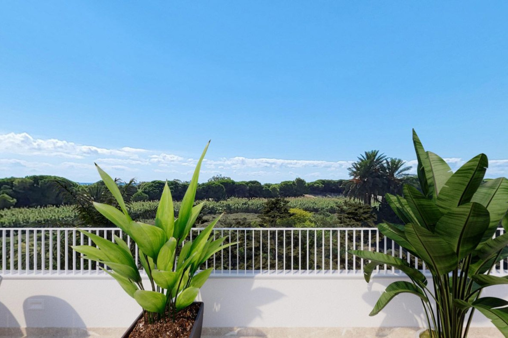 New Build - Detached house - Elche - El Pinet