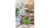 New Build - Detached house - Orihuela - Orihuela Costa