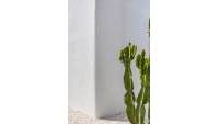 New Build - Detached house - Orihuela - Orihuela Costa