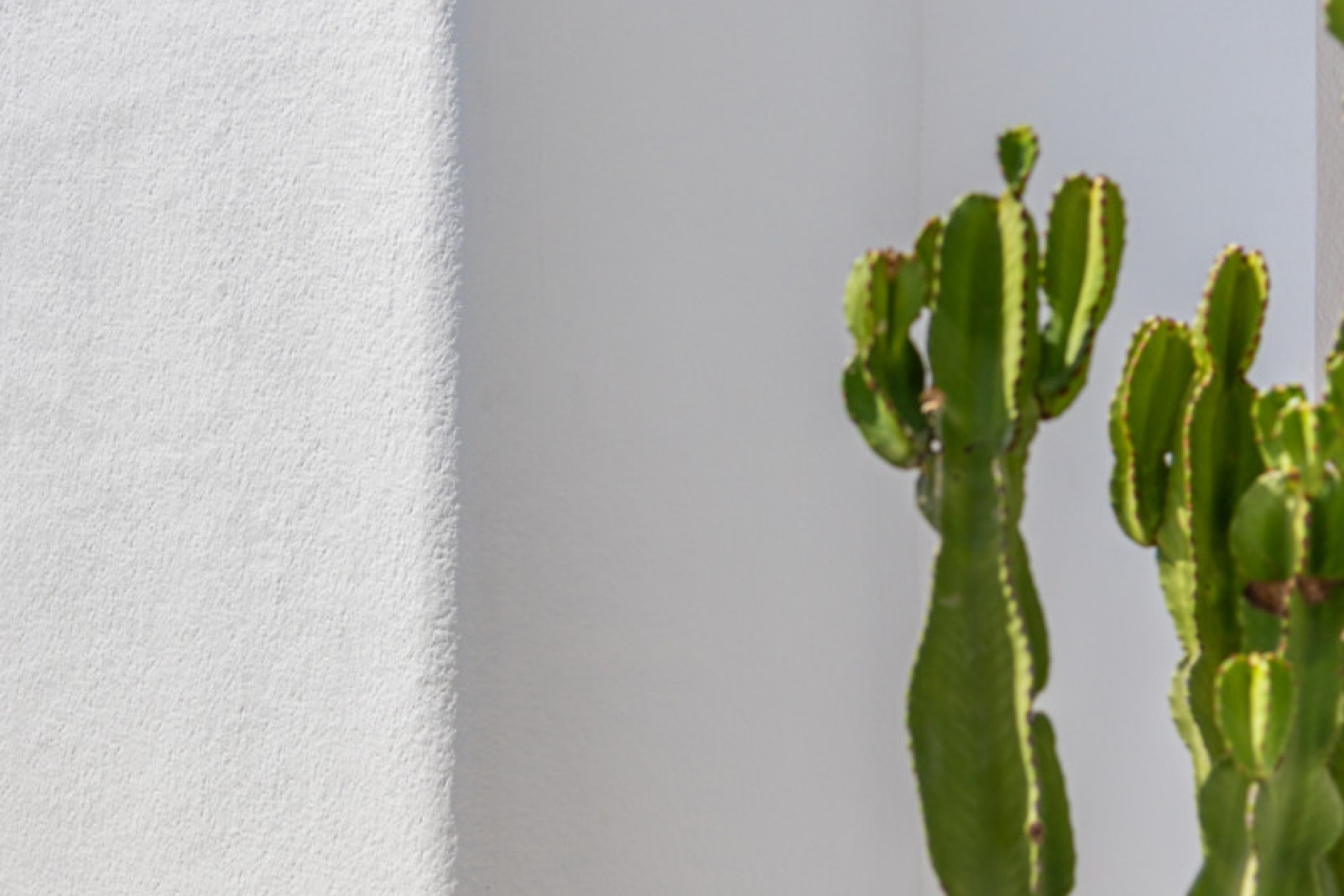 New Build - Detached house - Orihuela - Orihuela Costa