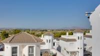 New Build - Detached house - San Fulgencio