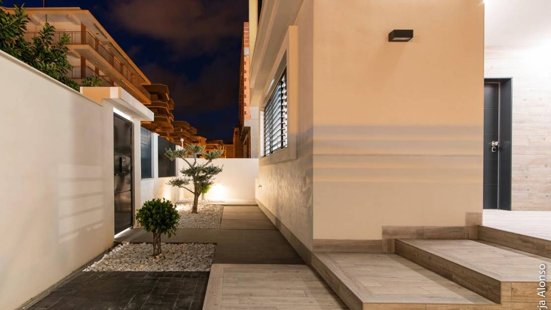 New Build - Luxusvilla - Guardamar del Segura - Guardamar