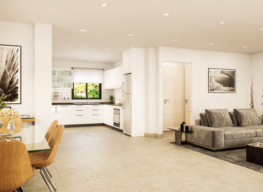 New Build - Villa - Elche - El Pinet 