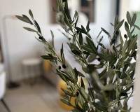 New Build - Wohnung - San Fulgencio