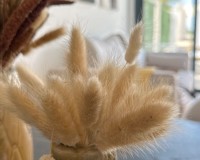 New Build - Wohnung - San Fulgencio