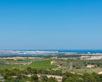 New Build - Wohnung - San Miguel de Salinas