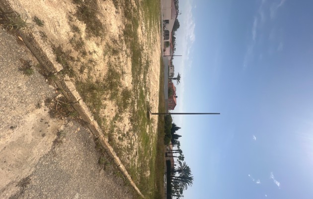 Plot - Sale - Elche - 6002