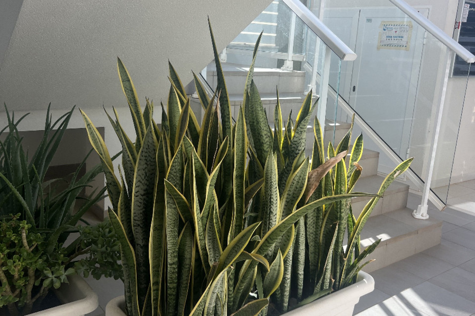 Sale - Apartment - Elche - El Pinet