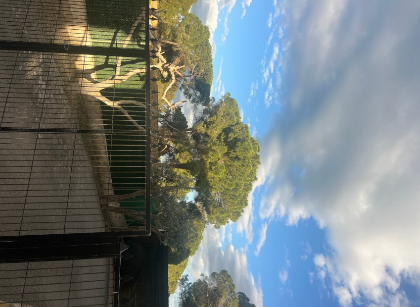 Sale - Apartment - Guardamar del Segura - Urbanization Buenavista