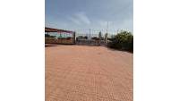 Sale - Detached house - Elche - El Pinet