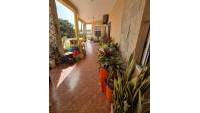Sale - Detached house - Elche - El Pinet