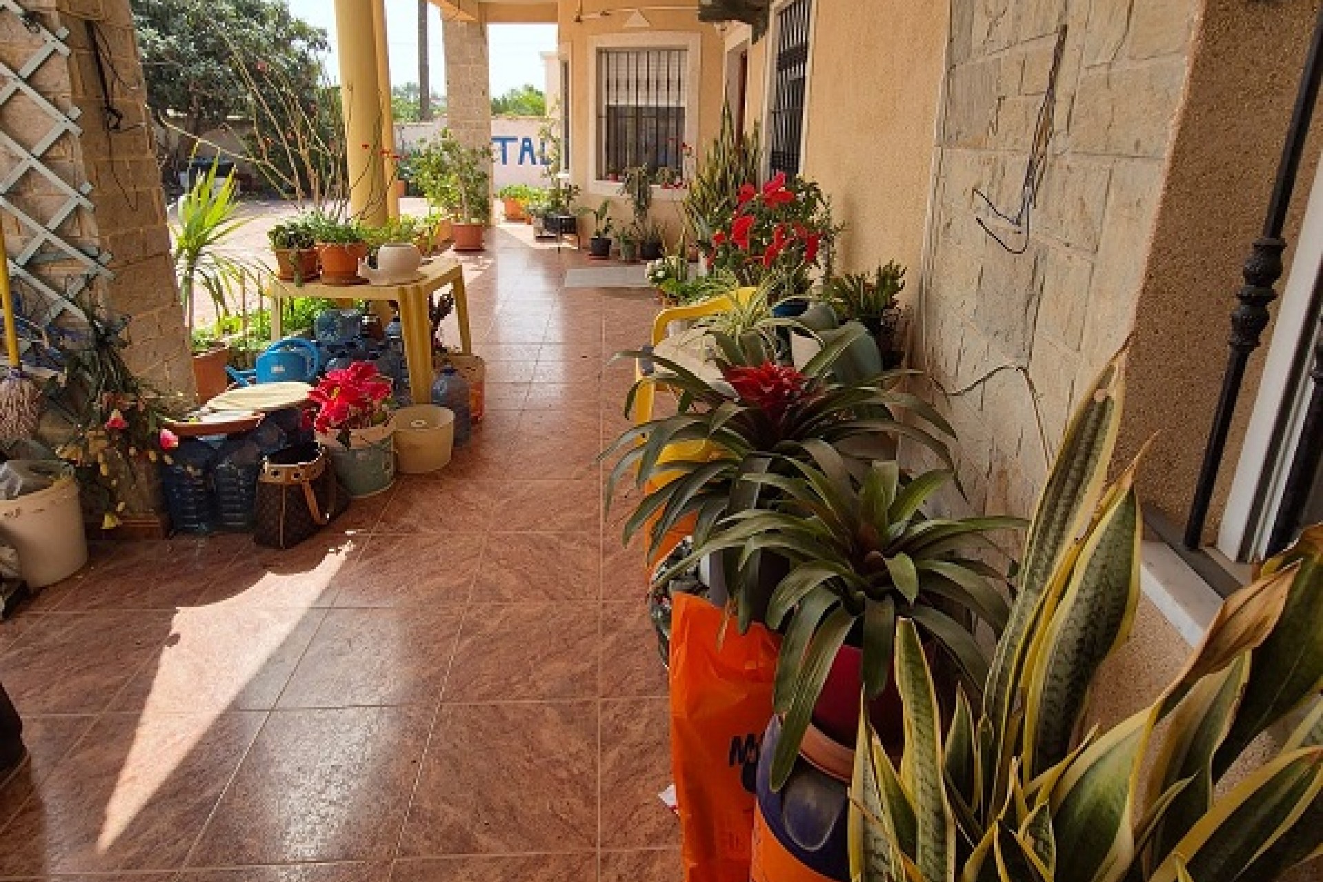 Sale - Detached house - Elche - El Pinet