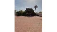 Sale - Detached house - Elche - El Pinet