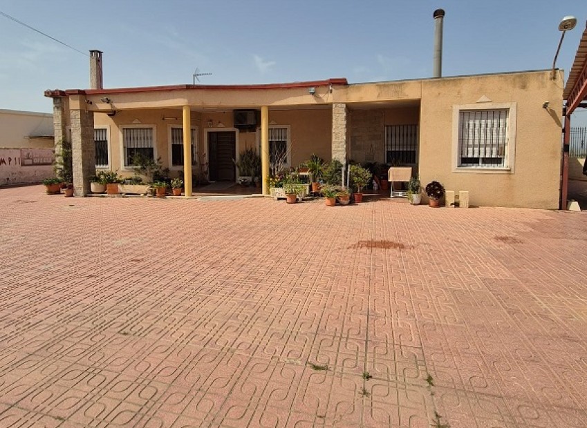 Sale - Detached house - Elche - El Pinet