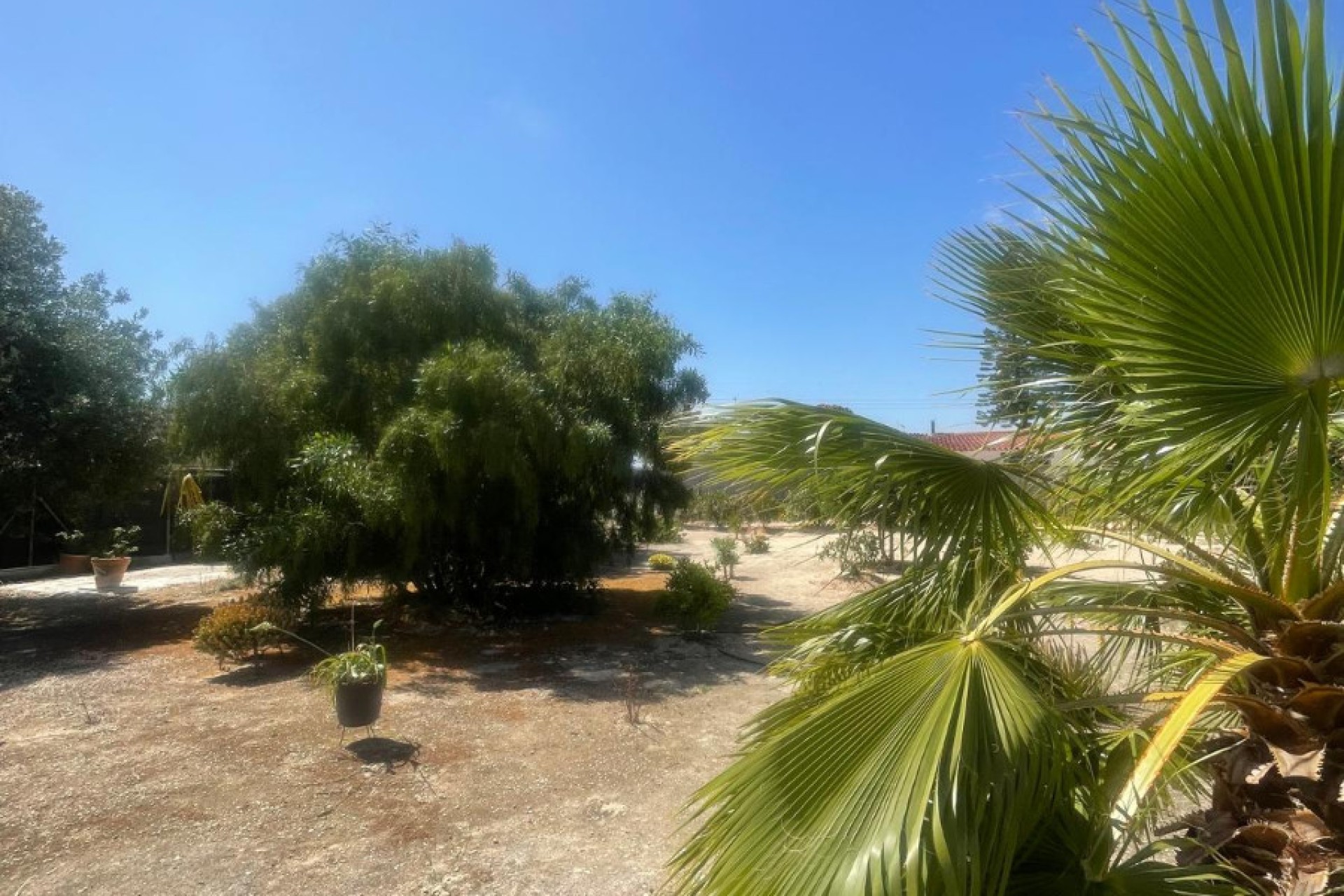 Sale - Detached house - San Fulgencio - La Marina