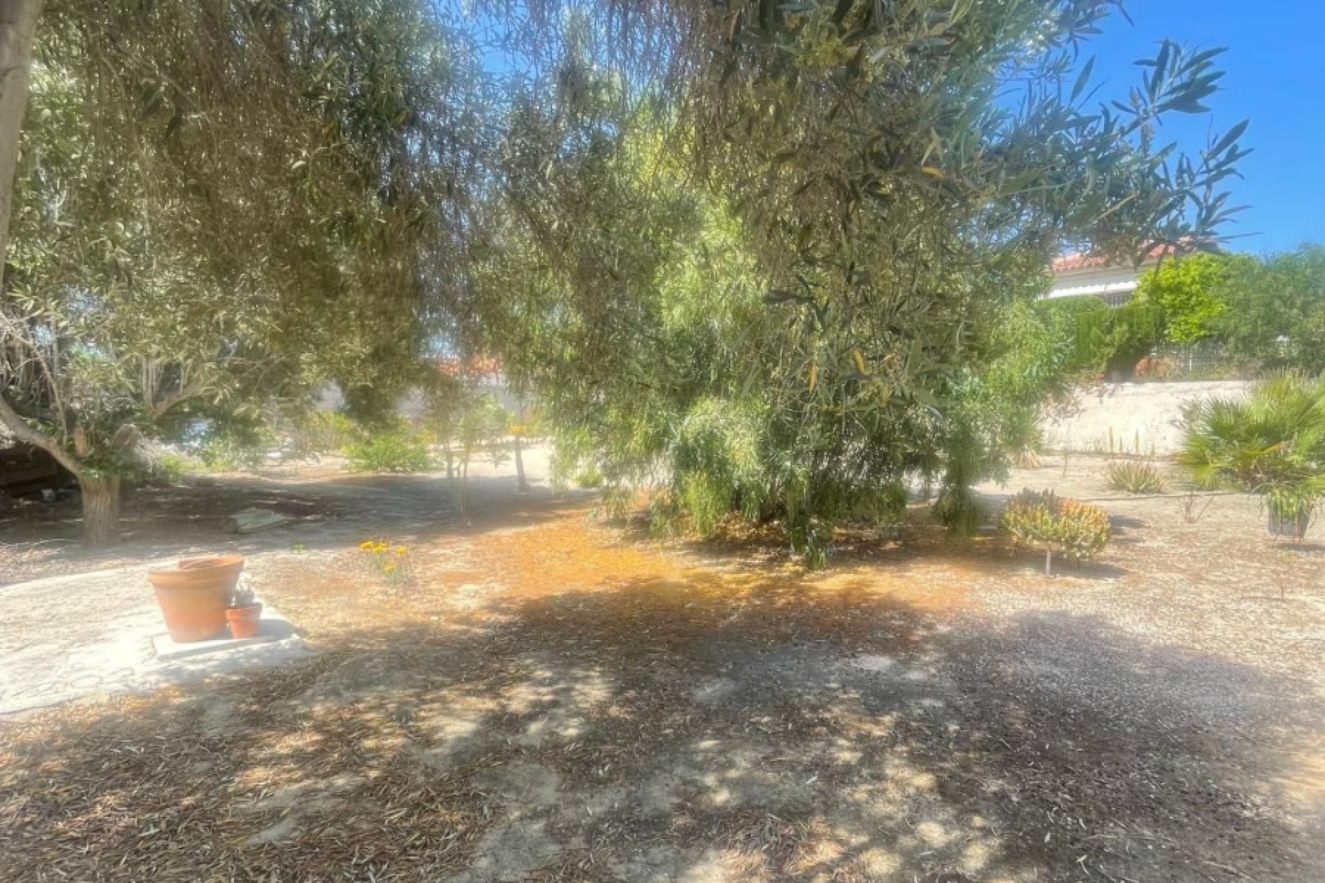 Sale - Detached house - San Fulgencio - La Marina