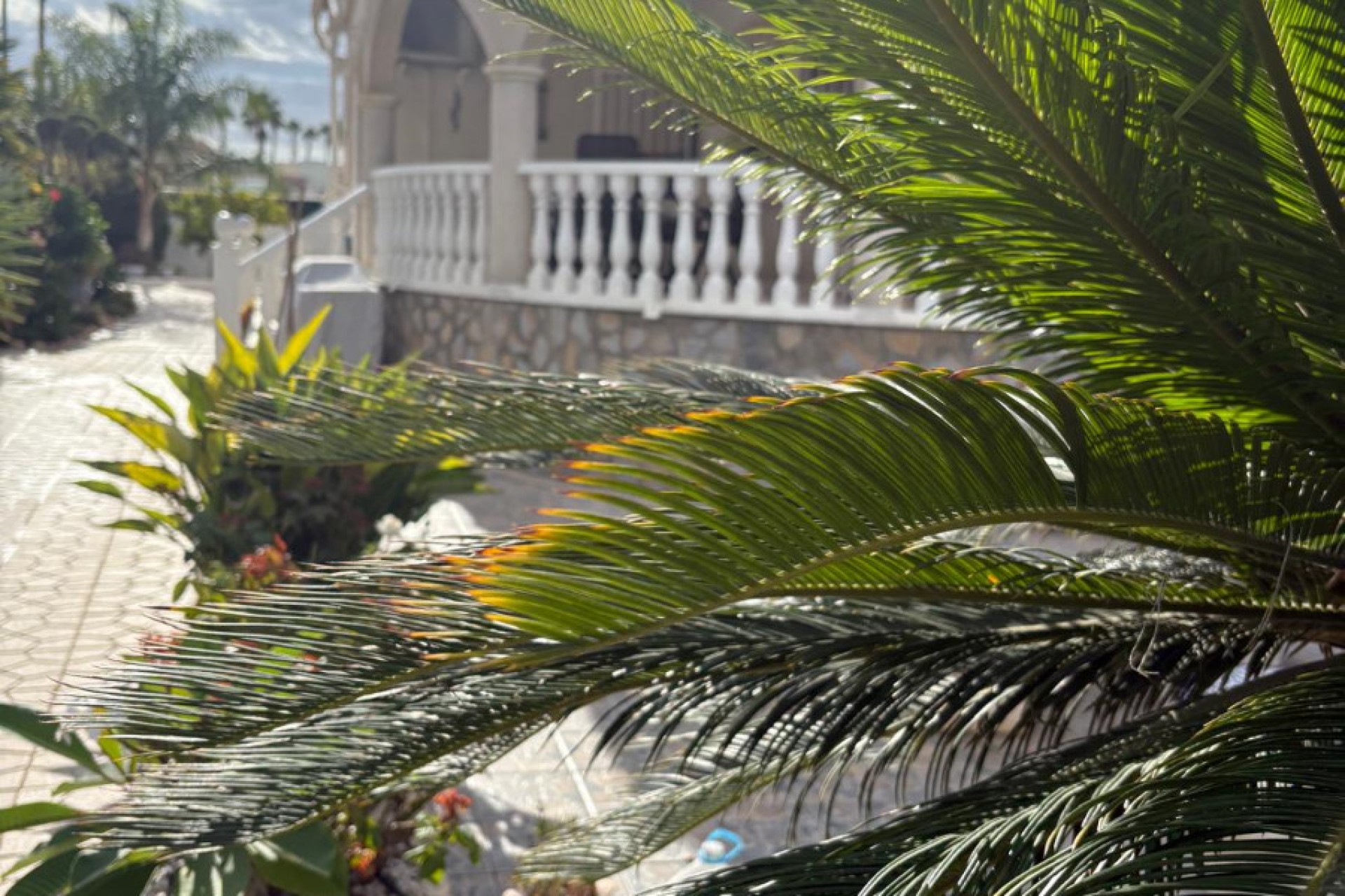 Sale - Detached house - San Fulgencio - Urb. La Marina