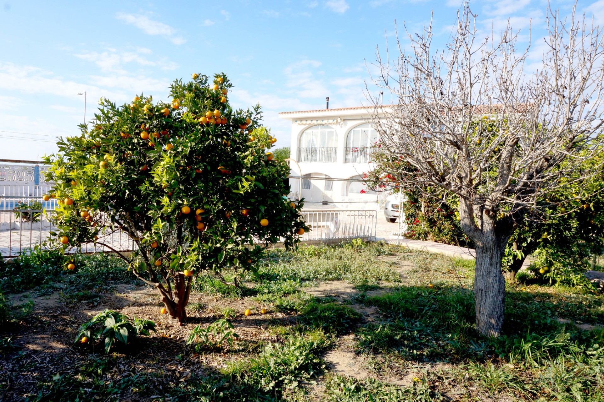 Sale - Detached house - San Fulgencio - Urb. Oasis