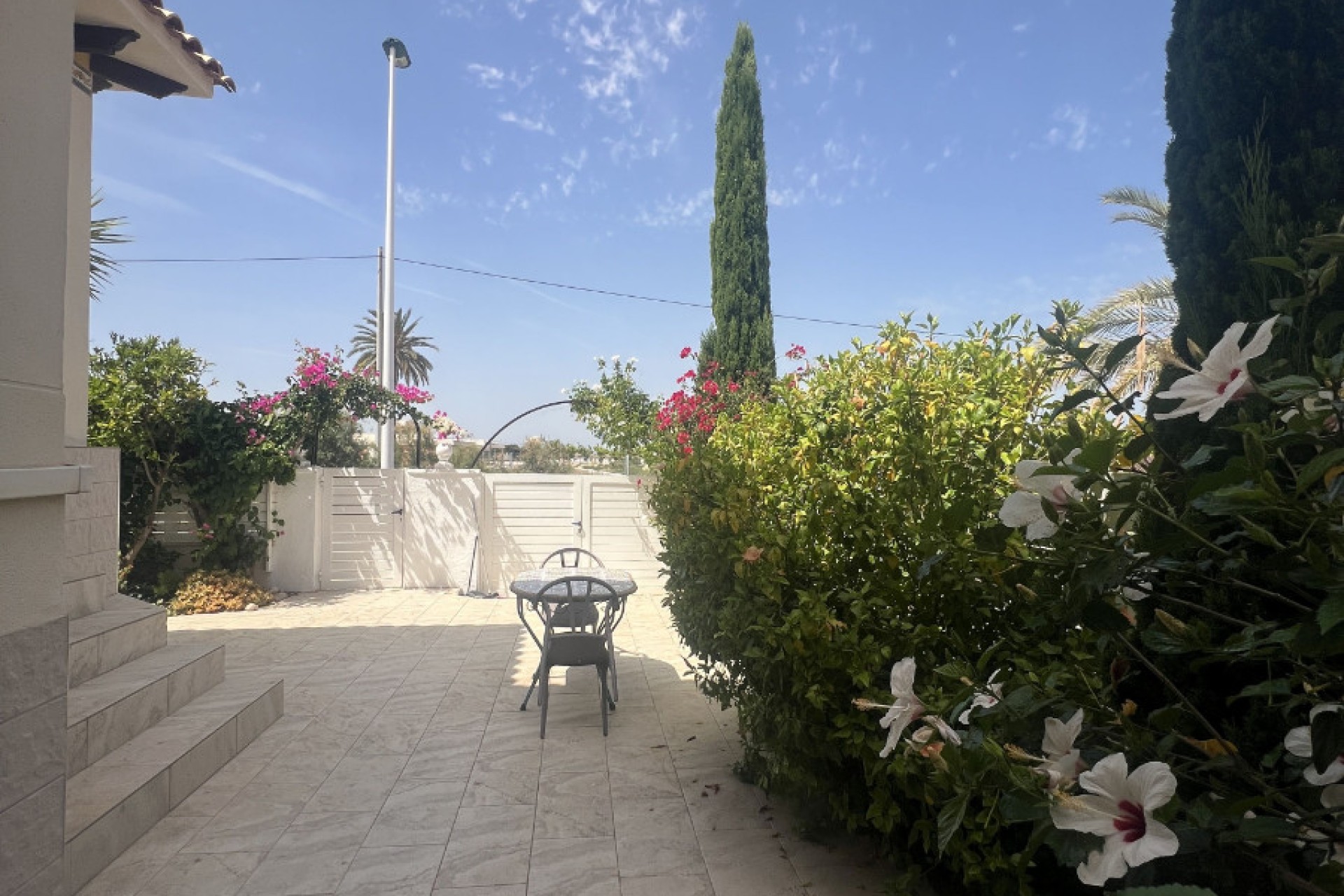 Sale - Einfamilienhaus - Elche - El Pinet 