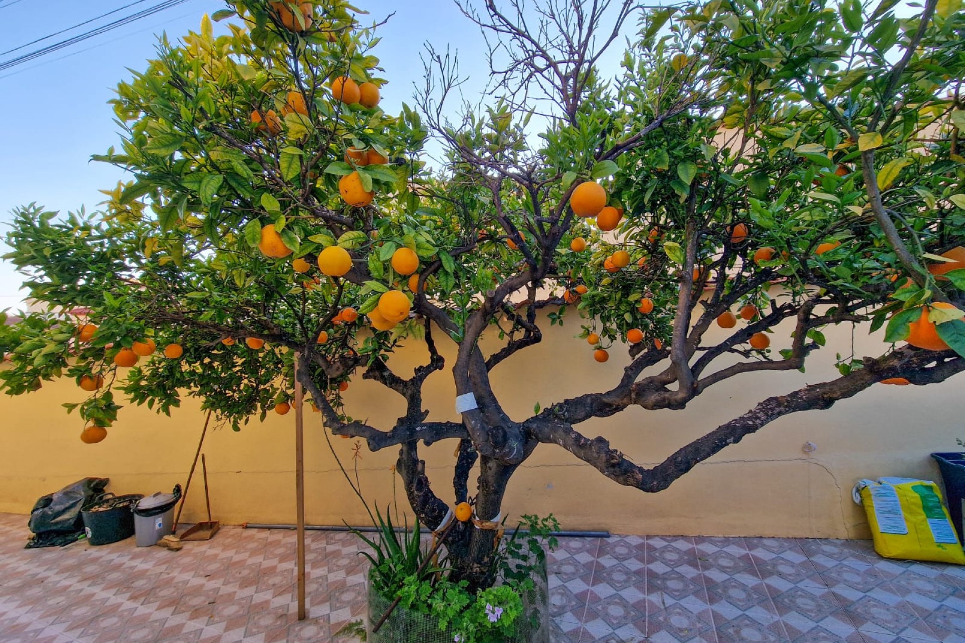 Sale - Einfamilienhaus - San Fulgencio - Urb. La Marina