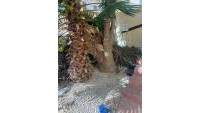 Sale - Einfamilienhaus - San Fulgencio - Urb. La Marina