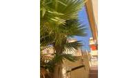 Sale - Einfamilienhaus - San Fulgencio - Urb. La Marina