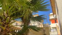 Sale - Einfamilienhaus - San Fulgencio - Urb. La Marina
