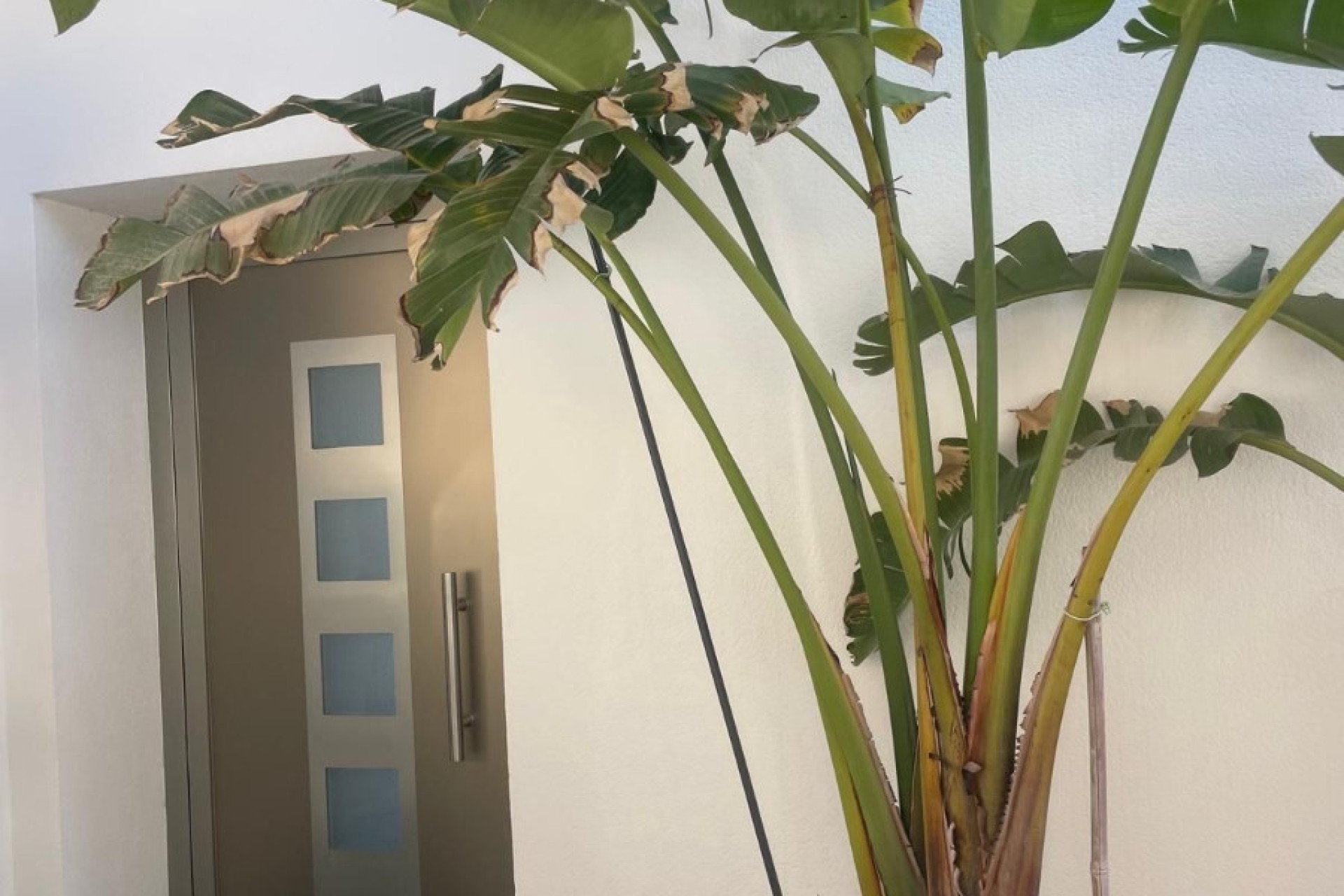 Sale - Einfamilienhaus - San Fulgencio - Urb. La Marina