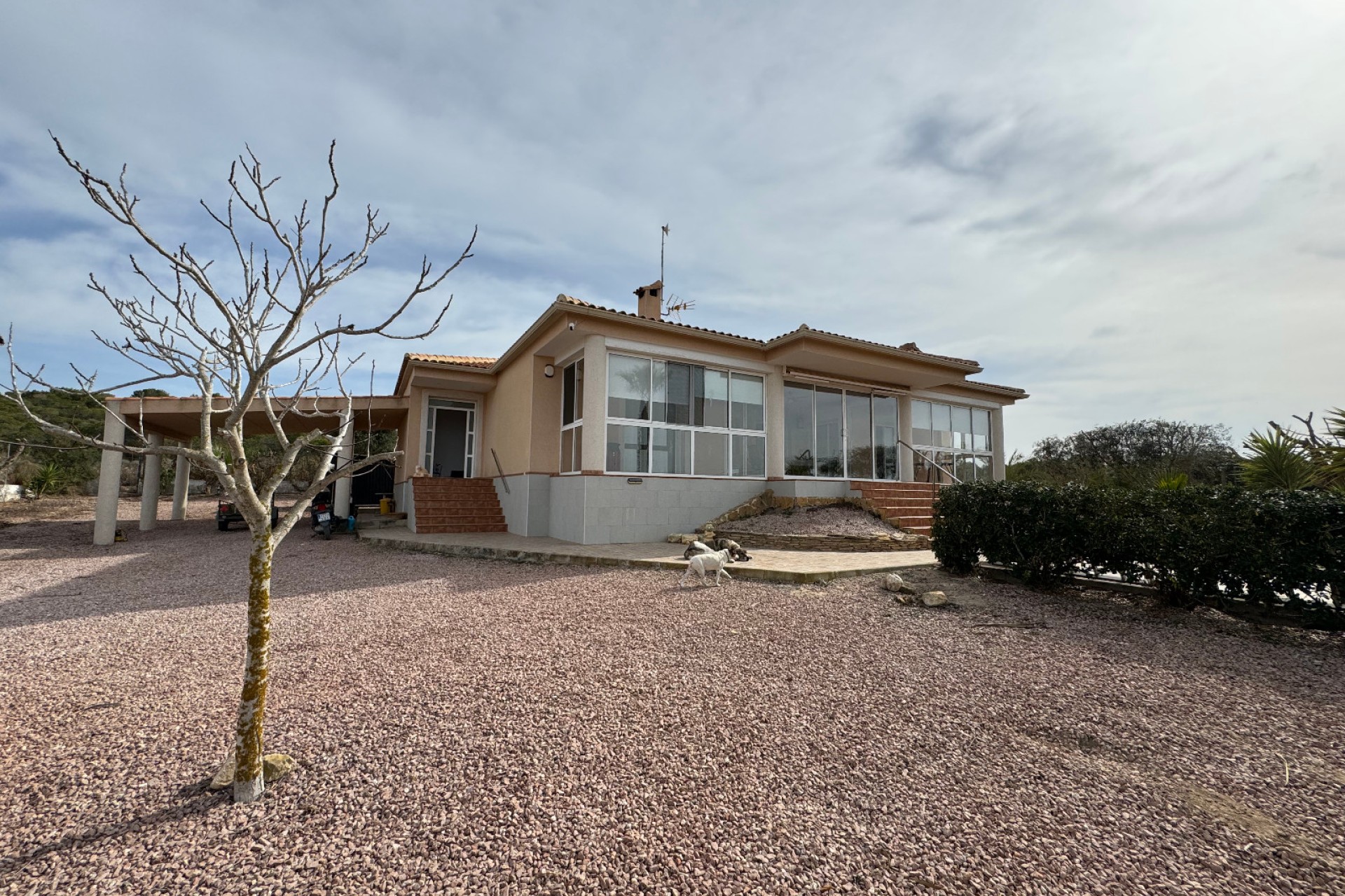 Sale - Finca - Elche - La Marina