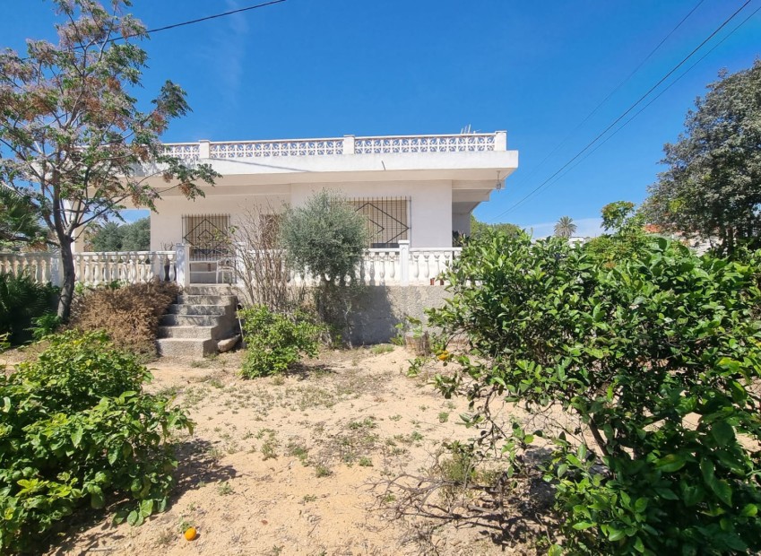 Sale - Finca - Elche - La Marina