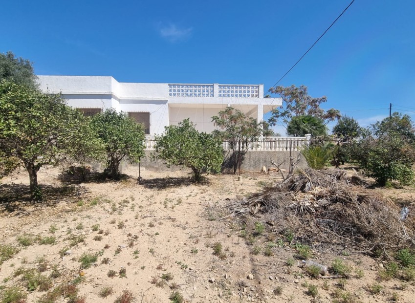 Sale - Finca - Elche - La Marina