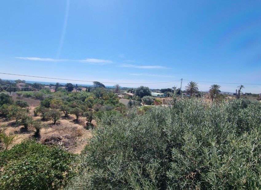 Sale - Finca - Elche - La Marina