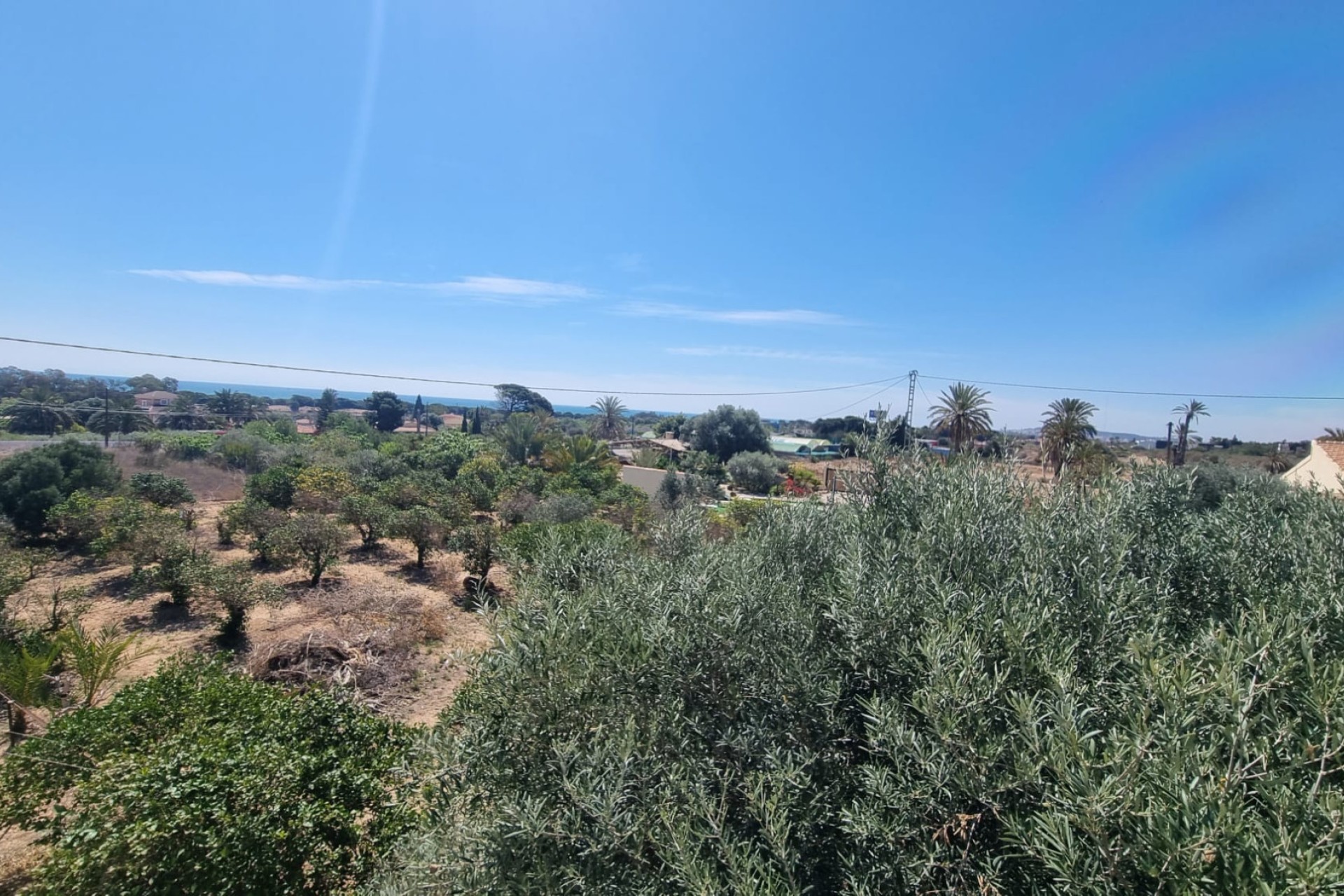 Sale - Finca - Elche - La Marina