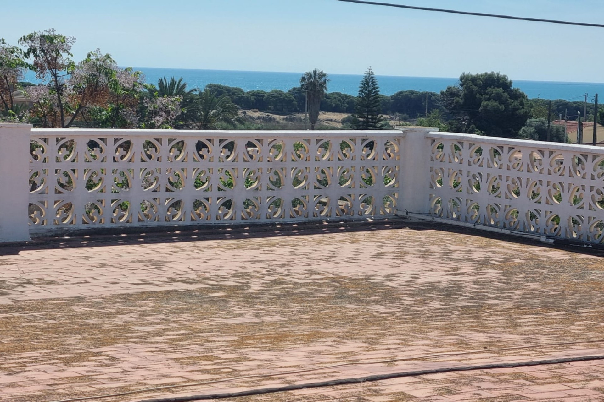 Sale - Finca - Elche - La Marina