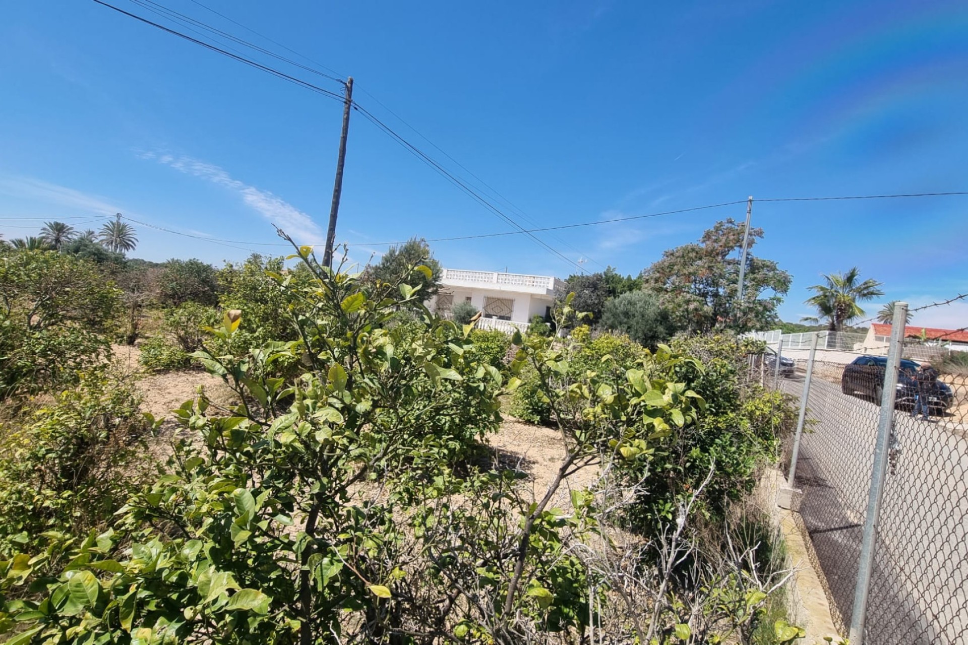 Sale - Finca - Elche - La Marina