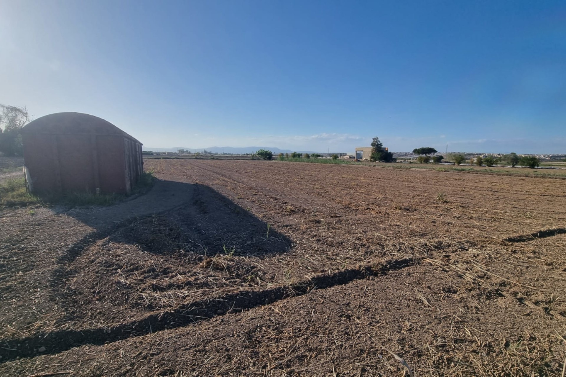 Sale - Finca - Elche - La Marina