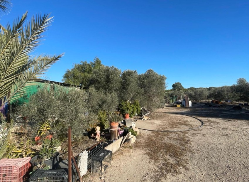 Sale - Finca - Elche - La Marina