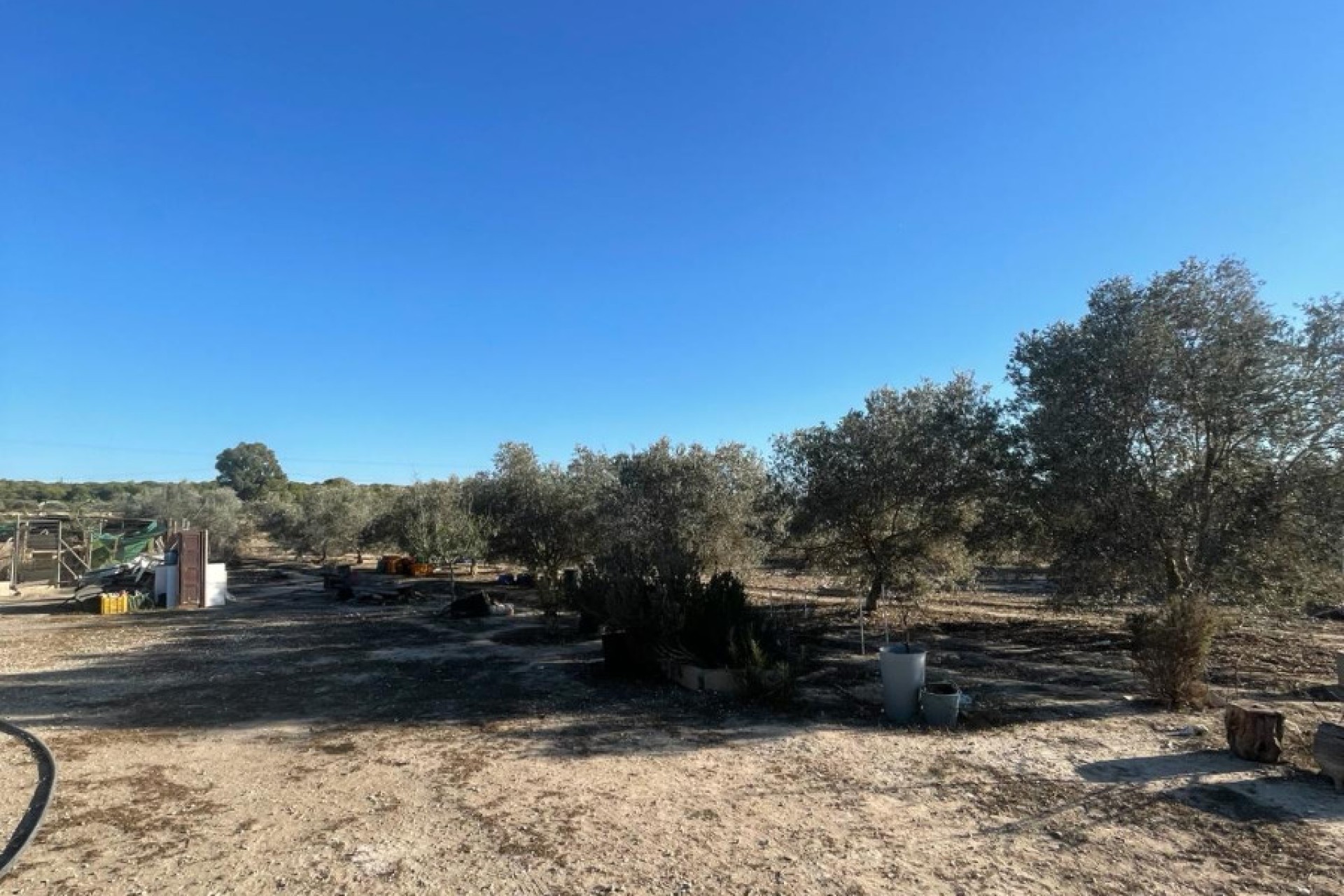 Sale - Finca - Elche - La Marina