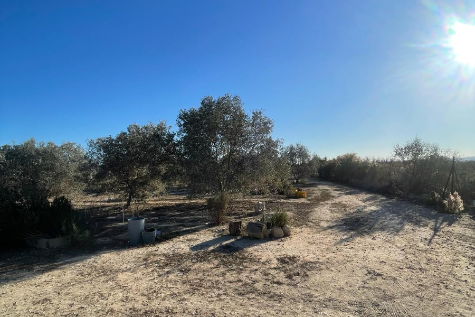 Sale - Finca - Elche - La Marina