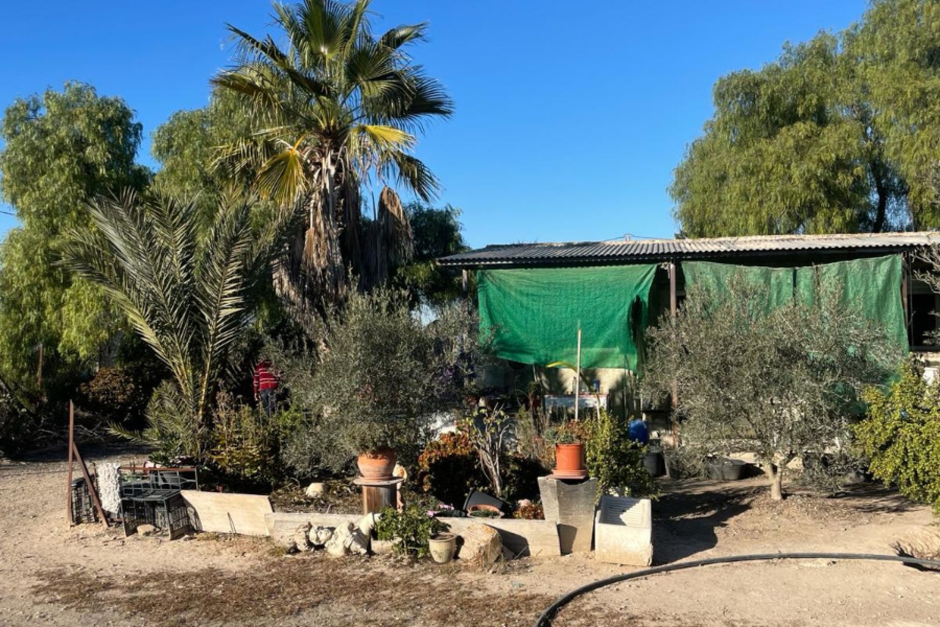 Sale - Finca - Elche - La Marina