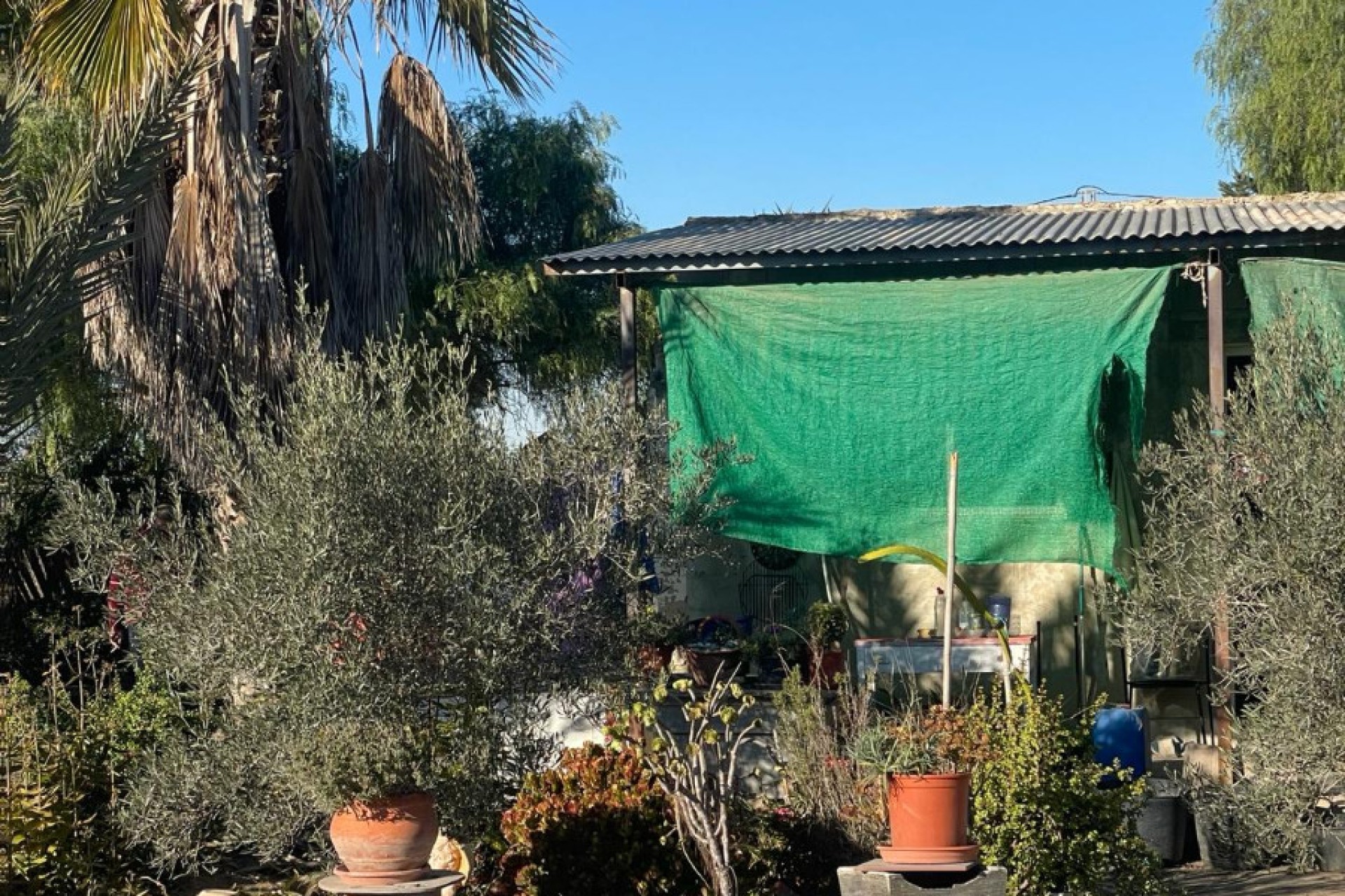 Sale - Finca - Elche - La Marina