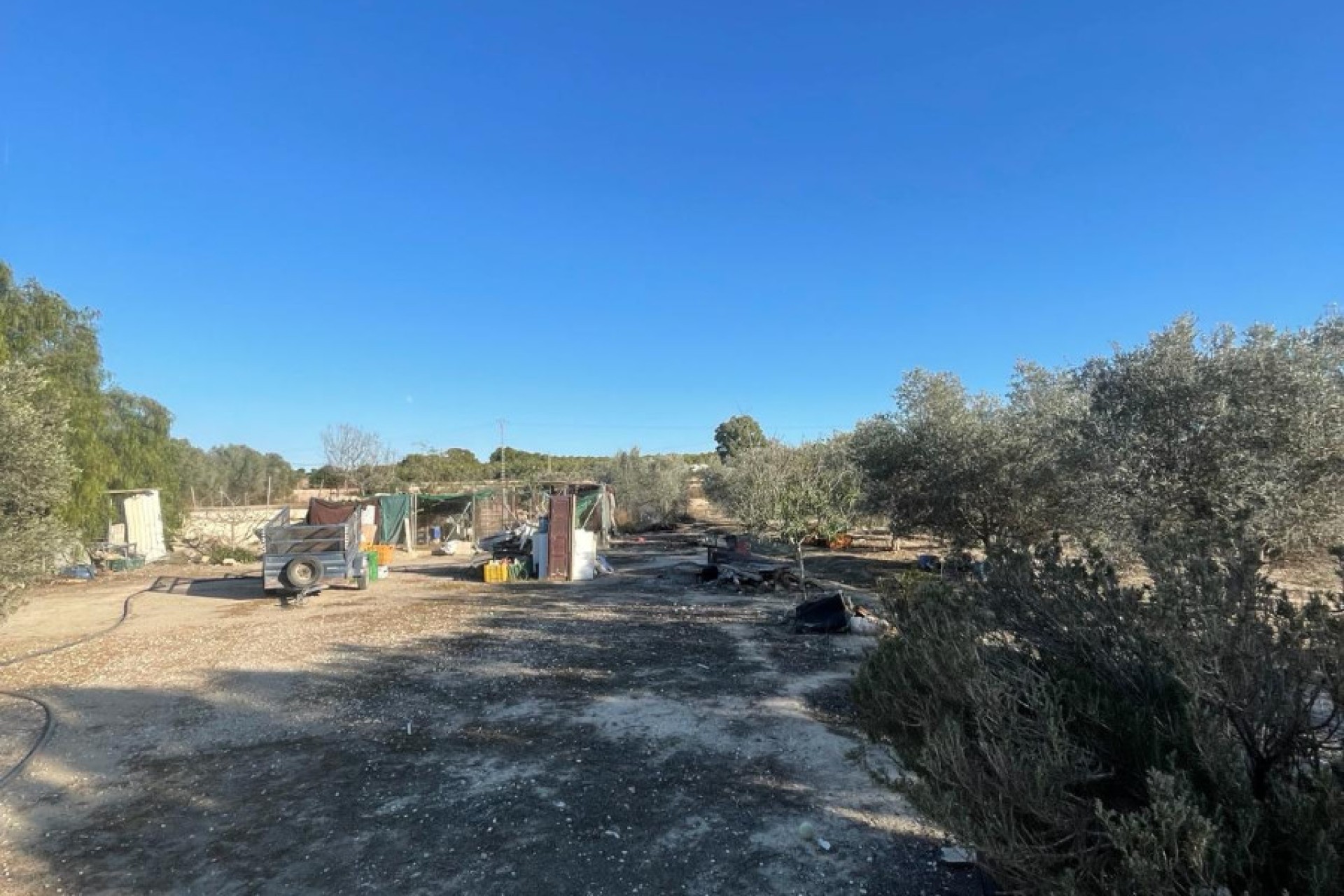 Sale - Finca - Elche - La Marina