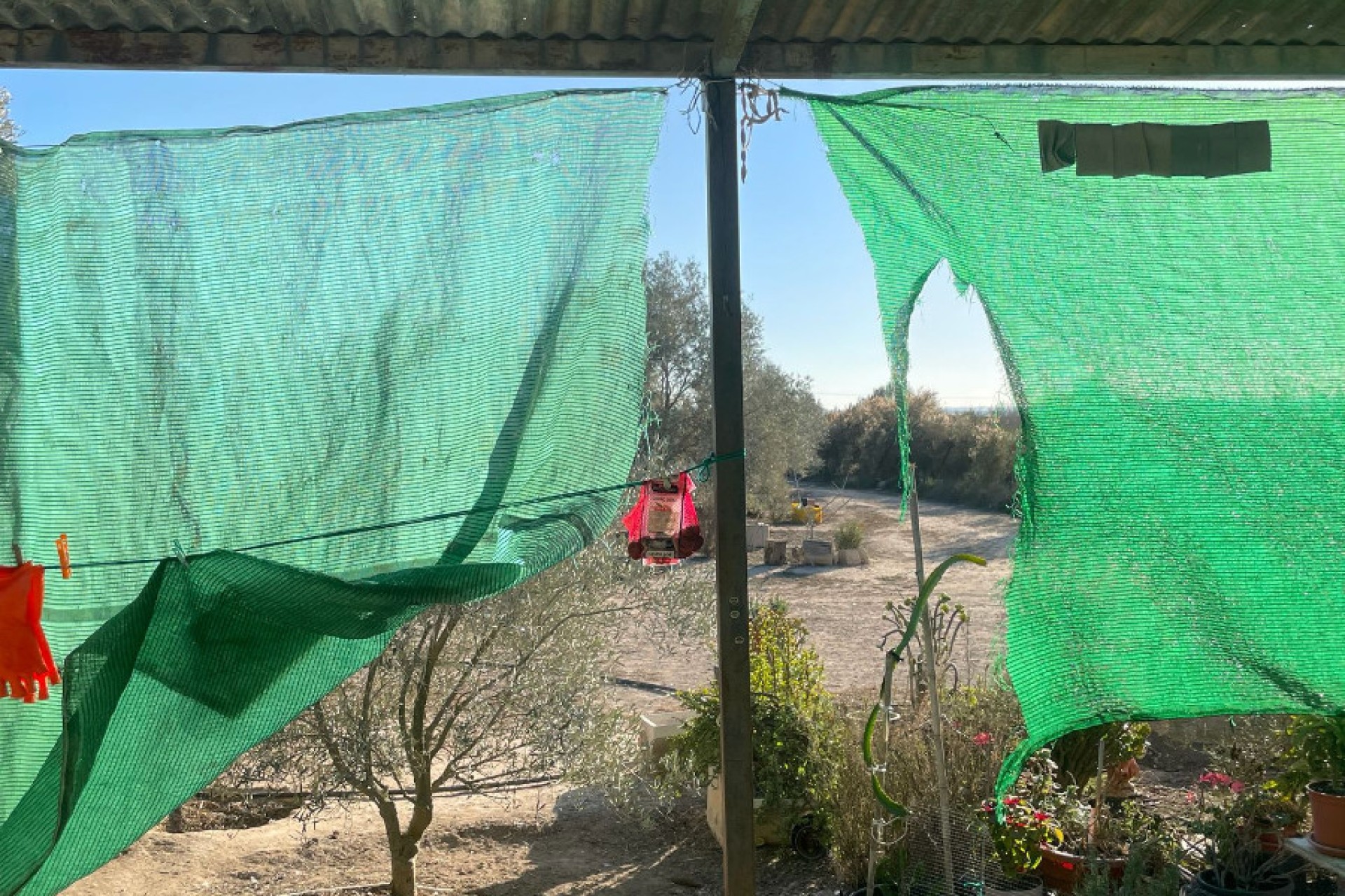 Sale - Finca - Elche - La Marina