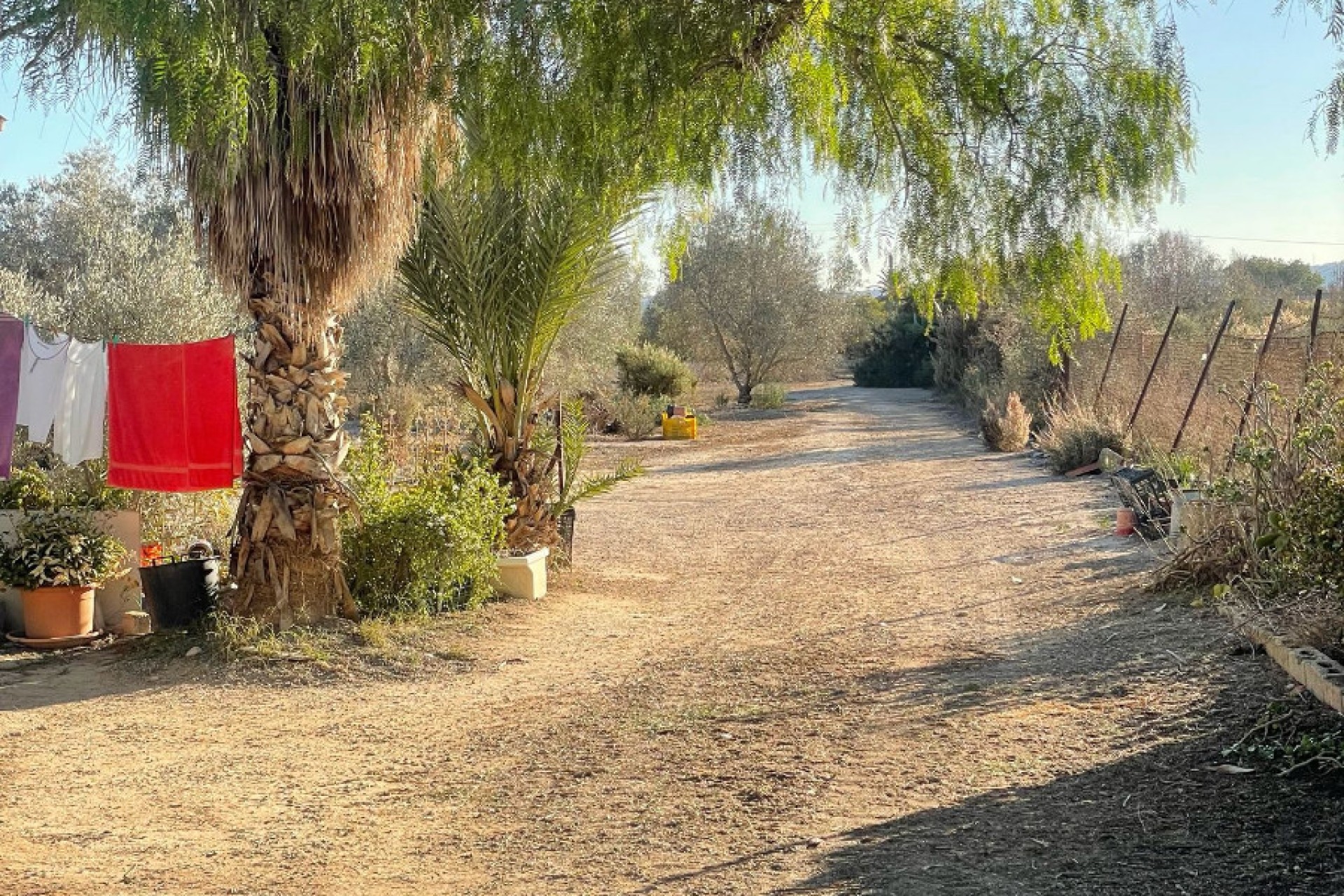 Sale - Finca - Elche - La Marina